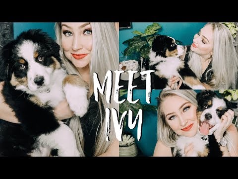 I GOT A PUPPY!!!! | Meet Ivy