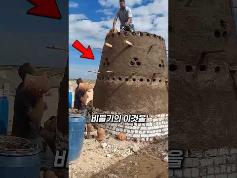 비둘기 집을 만드는 특별한 이유?