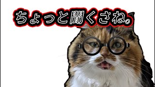 ディス子の部屋 緊急「ちょっと聞くさね」
