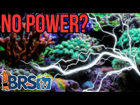 Protect Your Reef Tank From Power Outages!