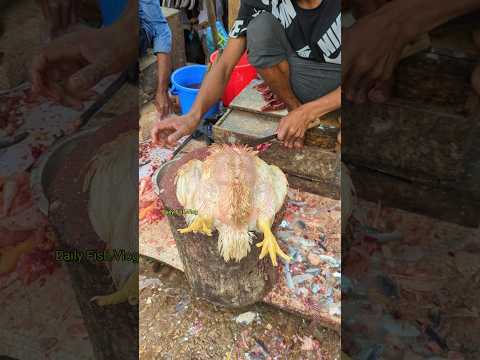 Most Attractive Big Size Whole Chicken Cutting Skills In Expert Cutter 😱 #shorts