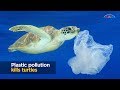 Understanding the Australian Academy of Science