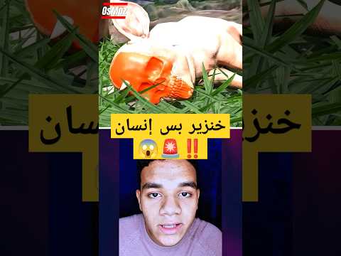 إنسان بس خنزير😱‼️