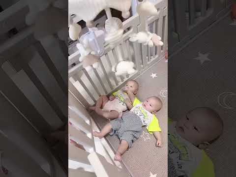 两个小家伙还挺有音乐细胞 #带娃日常 #双胞胎