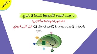 المختصر المفيد للوحدة 01 من المجال 02: التركيب الضوئي | بكالوريا شعبة علوم تجريبية