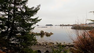 Flying Across Alaska in a Seaplane