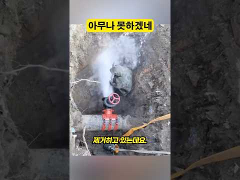 아무나 못하겠네