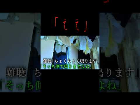 声と物音パート３ #恐怖 #怪現象 #心霊スポット #ホラー #ねこ