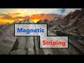 Magnetic Stripes and Plate Tectonics