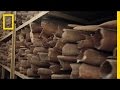 Ivory Trade and Elephant Conservation