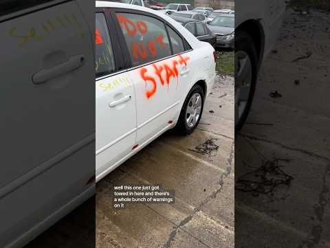 Biohazard Police Evidence Hyundai #hyundaisonata #policeevidence #biohazard #junkyard #autopartscity