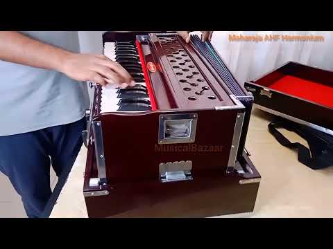 2 Reed Concert Kirtan Travel Harmonium