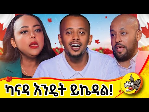 ቪዛ አንሰጥም!  #dinklejoch  #comedianeshetumelese #autism #donkey