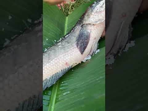 Survival Skills_ SIMPLE and USEFUL with eat fishing #bushcraft #camping #outdoors