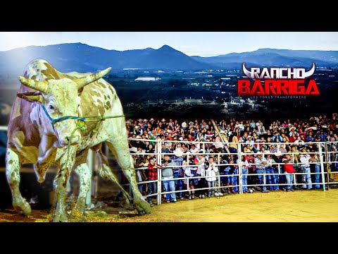 IMPARABLE AL AZTECA DE ORO || Rancho Barriga en Zumpahuacan Edo Mexico