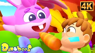 Cooking Fiasco and Funny Cartoon Videos for Kids