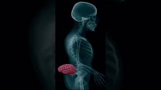 🤣🤣🤣 #funnyvideo #victorbaba #pubgmobile #viral