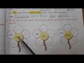 Describing Words and Examples