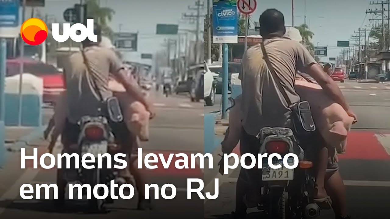 Homens são flagrados levando porco em moto em Belford Roxo veja vídeo