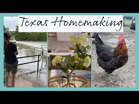 Everyday Homemaking | Texas Floods + Chickens + Easy Summer Skillet Recipe!