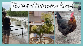 Everyday Homemaking | Texas Floods + Chickens + Easy Summer Skillet Recipe!