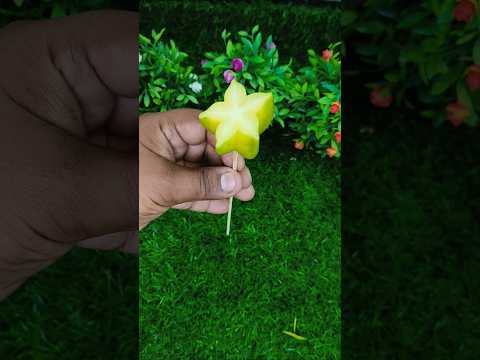 Spicy star fruit 🤤 #food #foodie #cooking #tasty #delicious #spicy #shortsvideo #foodclips #viral