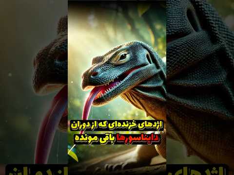 اژدهای کومودو، تنها اژدهای زنده روی سیاره زمین | دنیای حیوانات