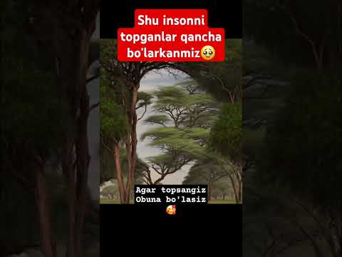 AGAR MALOL KELMASA OBUNA BO'LING👍 💪 BIZNING FAXRIMIZ 🥲JOYLARI JANNATDAN BO'LSIN