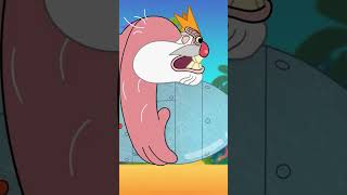 It's the race #Shorts #Zigandsharko Zig & Sharko | Cartoon for kids