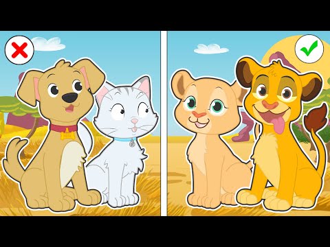 BABY PETS 🦁🦁 A gata Kira e o cachorro Max se fantasiam de leões