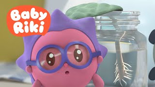 🌿 BabyRiki: Frunza | Desene Animate Educative în Română pentru Copii de Grădiniță 🌱👶