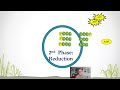 Calvin Cycle Concepts and Processes