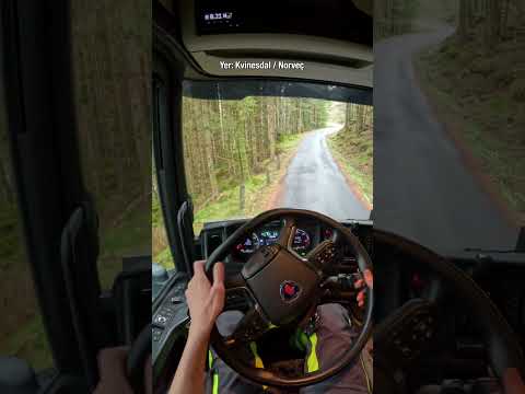 Norveç Yollarında ETS2 de gibi takılmak!  #norveç #doğa #ets2
