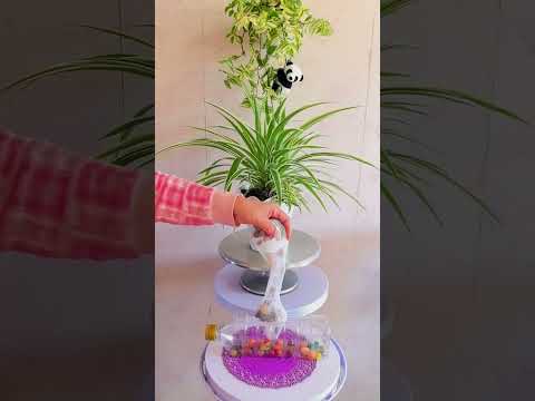 How to growing spider flowers garden flowers #diy #plants #flowers #garden #2025