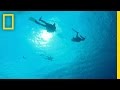 Understanding Down Currents and Safety
