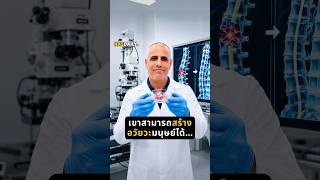 เขาสามารถสร้างชิ้นส่วนของร่างกายมนุษย์ได้...
