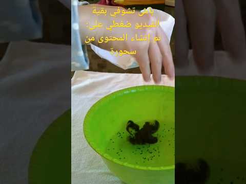 شنو خاصك ديري ملي تمشي شعرك!!