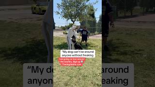 Working With An Intense Fear Aggressive Dog.