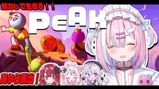 【PEAK】不思議な島から4人で協力して脱出を目指すぞ...!【＃星乃りむ ＃琴宮いおり #雪白キャル #空奏イト / #ミクスト】