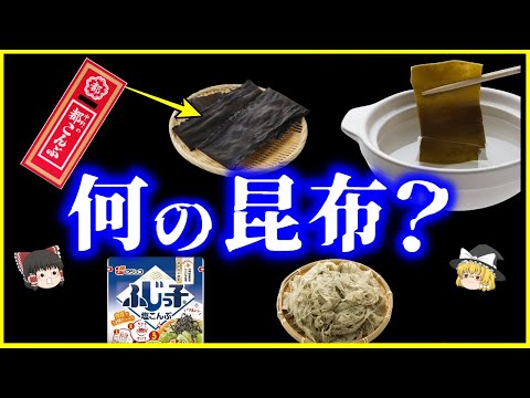 【ゆっくり解説】普段食べてるコンブ、なんの昆布？を解説/日本人とコンブの歴史～塩昆布、酢昆布、出汁用の昆布、昆布巻き、とろろ昆布、梅昆布茶、他