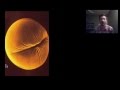 Mitosis and Cell Cycle Concepts