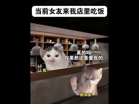 猫の面白ミーム動画：かわいい猫たちの楽しいストーリー サムネイル