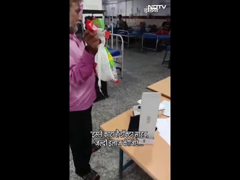 'जल्दी इलाज कीजिए...' सांप को थैली में डालकर Hospital पहुंचा शख्स | Snake Viral Video | SHORTS