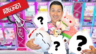 We Won ALL of these from the Claw Machines so Easily!