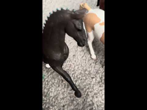 Stable drama Ep:2 S:1 “newbies”