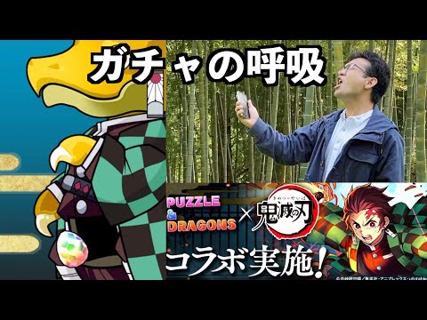 むらい、本気で鬼滅の刃コラボガチャ行きます【パズドラ】