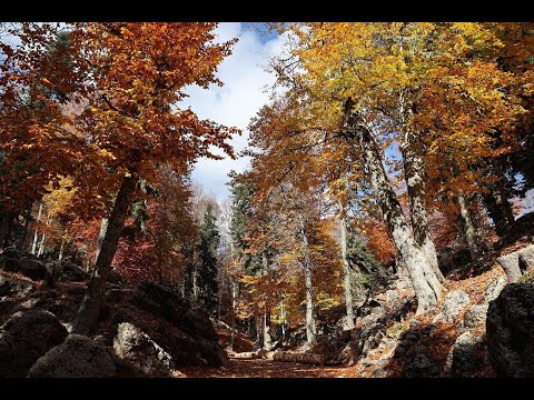 Adeta doğa sanata dönüştü