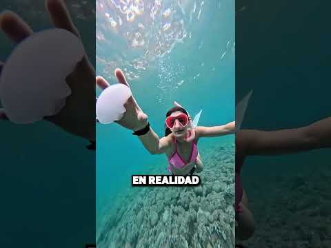 ¡Esta Chica Cometió Un Gran Error! 😱😬💥