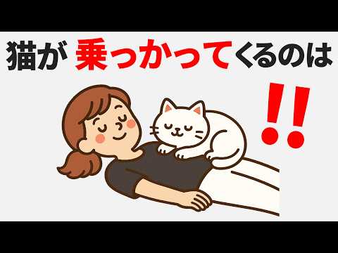 猫の動画サムネイル - 【キュン死注意】猫のかわいさの秘密を徹底解説！ #猫 #雑学 #豆知識 #トリビア #ねこ