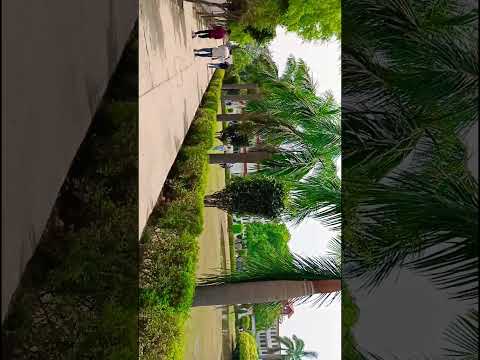 #miet #vibes #college #mood #vediography #capturethemoment #valorant #mostfamousquotesofalltime..💮♻️